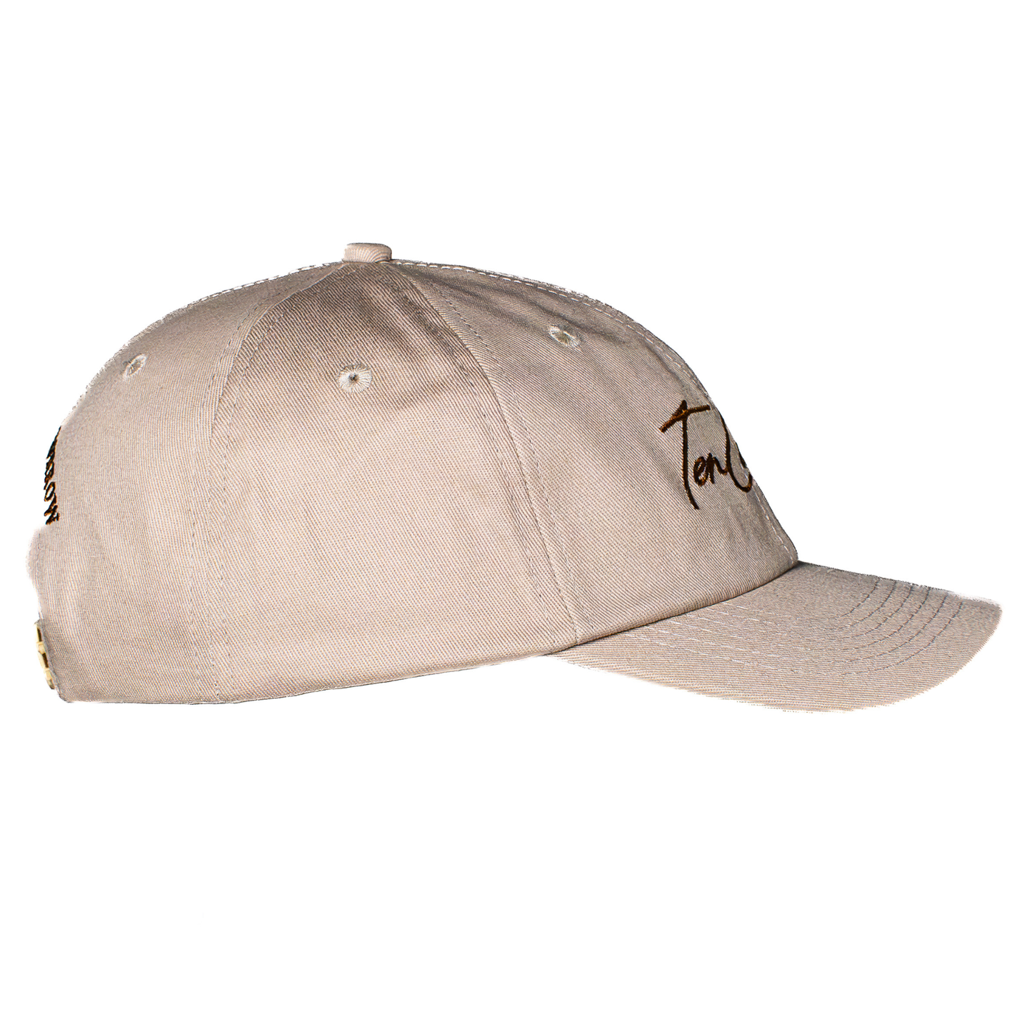 Ten Count Script Dad Cap Stone