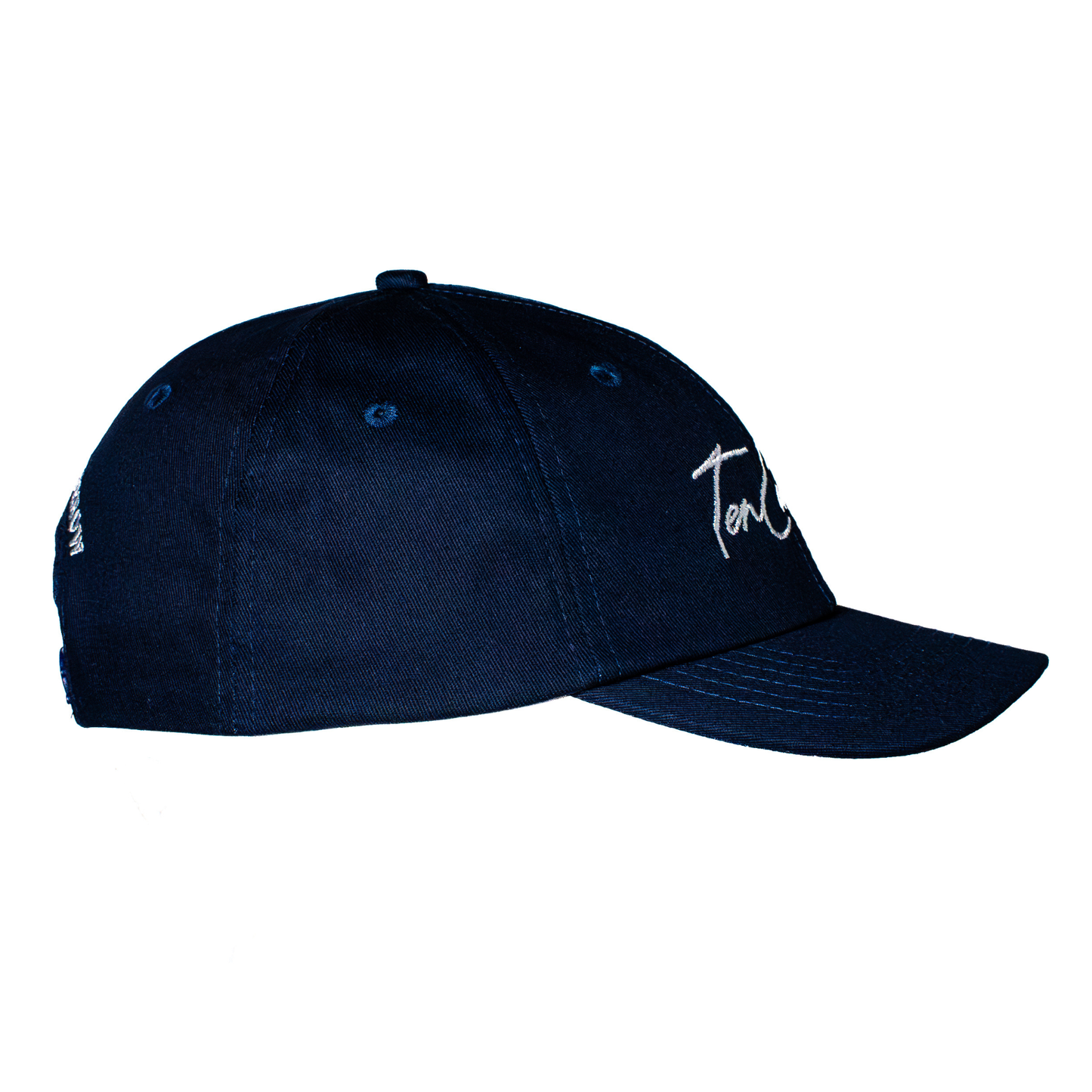 Ten Count Script Dad Cap Navy