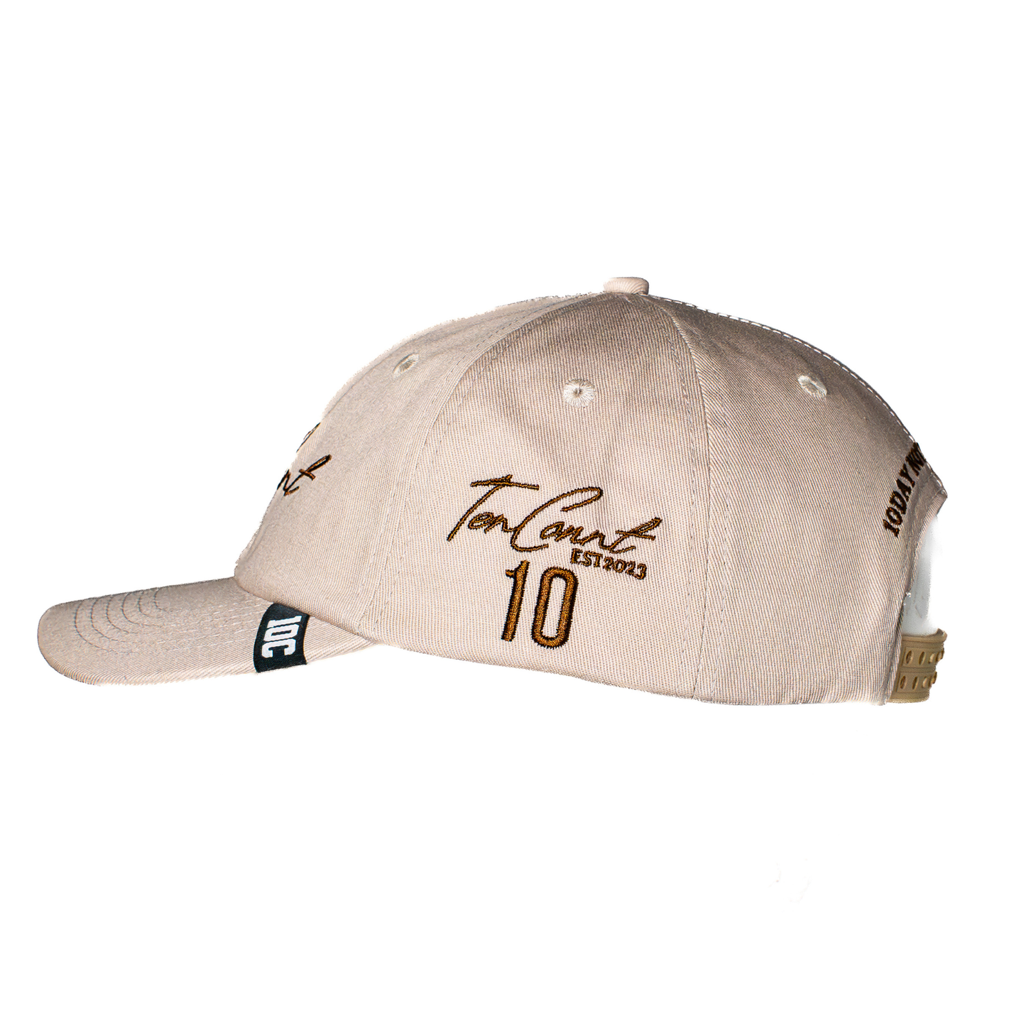 Ten Count Script Dad Cap Stone